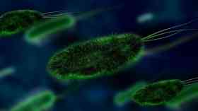 Sixth person dies from NHS listeria outbreak