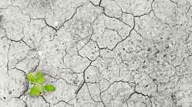 Airedale NHS launches its Green Plan