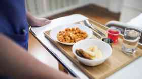 Government announces review of hospital food