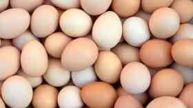  Government announces new plans to reduce risk of avian flu 