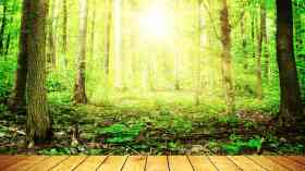 Wildlife conservation plans must consider risk of Lyme disease 