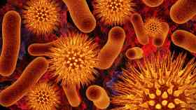Research indicates new hope for kidney disease treatment 