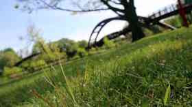 Parks should be under power of NHS, says thinktank
