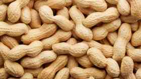 James Paget to provide Peanut Allergy treatment clinic