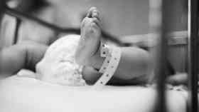 New maternity leadership programme launched