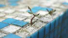 £1 million to innovations to support net zero NHS delivery