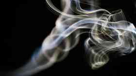 Smoking harms livers of unborn babies