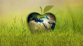 Nurses can help make health care more sustainable