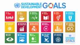 Nurses role in achieving SDGs highlighted
