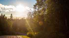 Japanese practice of ‘forest bathing’ could be prescribed