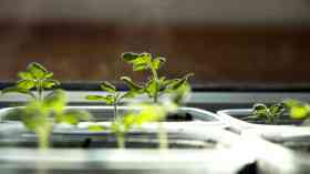 What are the benefits of plant-based food?