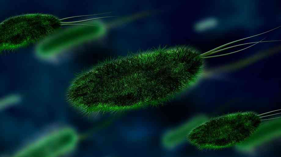 Two million SARS-CoV-2 whole genome sequences uploaded