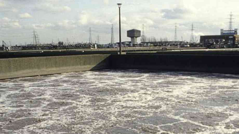 Polio detected in East London sewage works