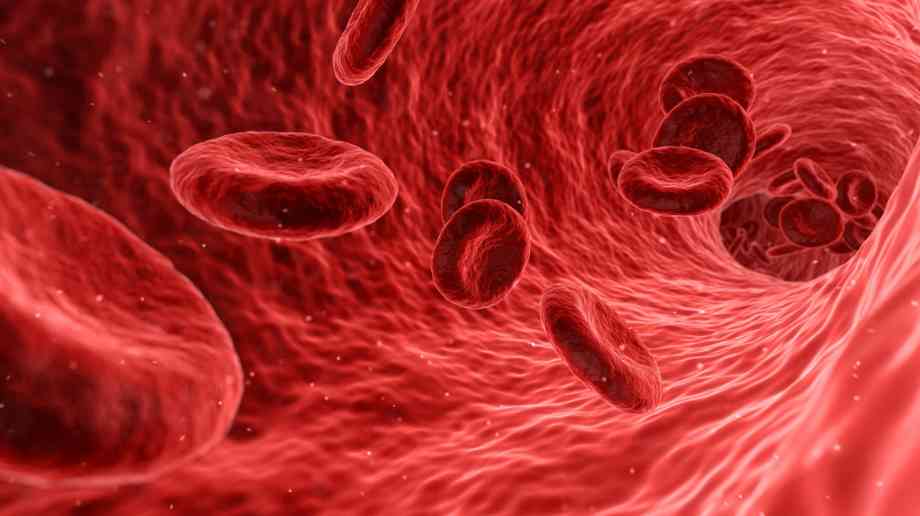 Sickle cell awareness campaign launched