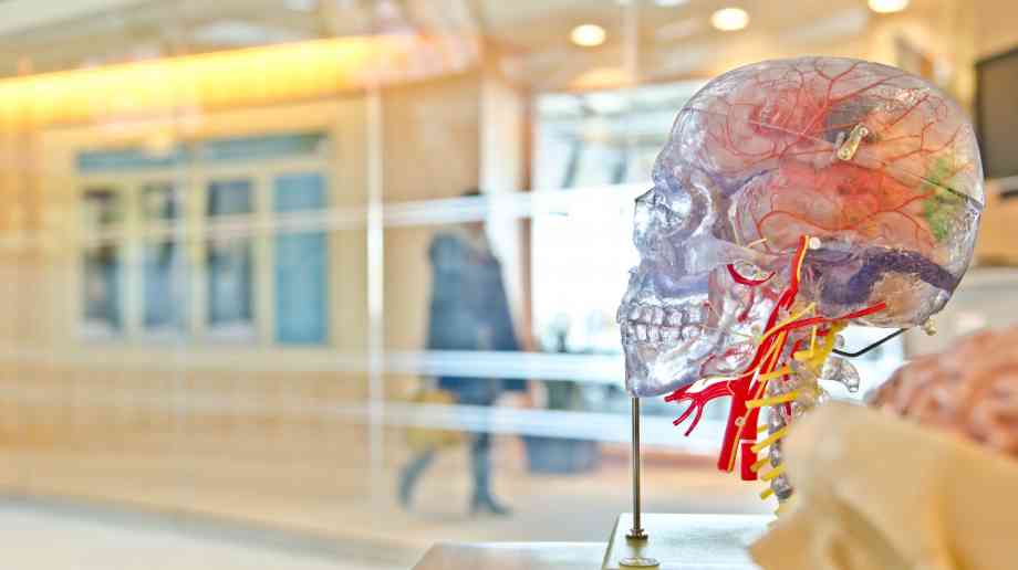 Six more brain cancer centres awarded Tessa Jowell Centre of Excellence status
