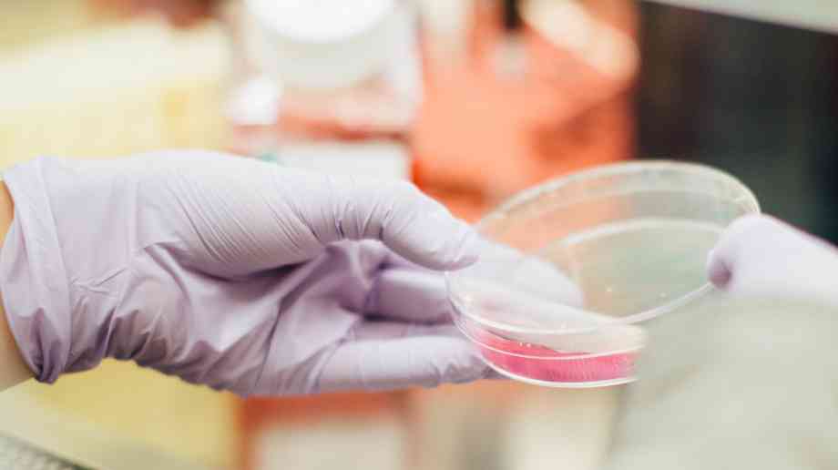 US approves first cancer 'living drug'