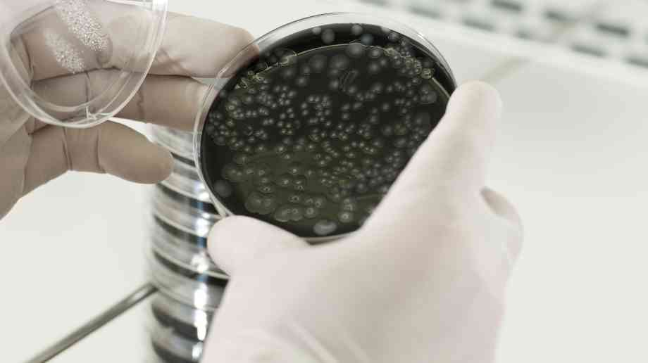 £32 million for antimicrobial resistance research