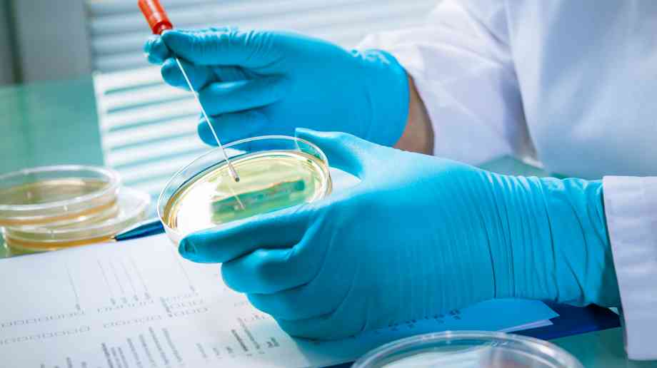 Researchers recreate female reproductive tract