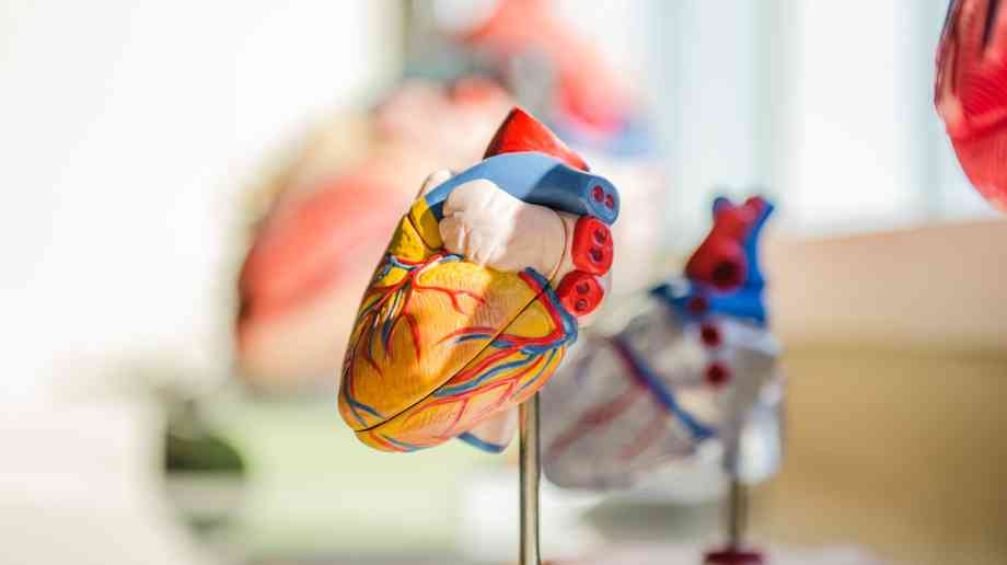 Lifesaving heart operation to benefit thousands