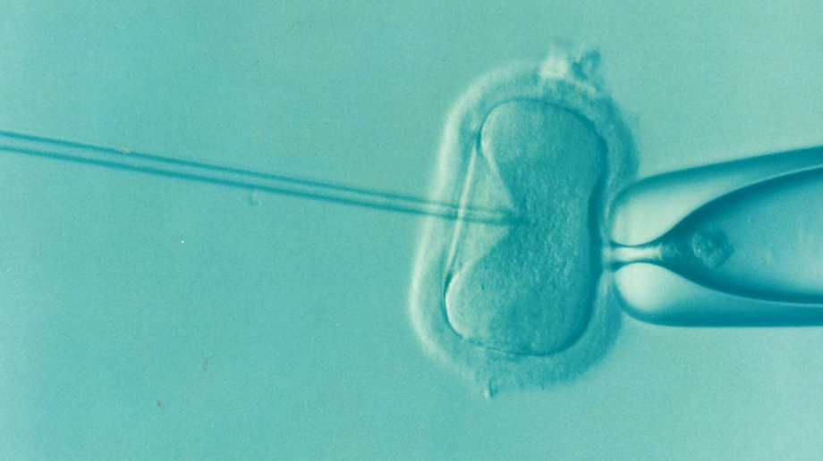 Full IVF funding would improve mother safety