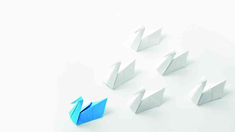 What makes a good leader within the NHS?