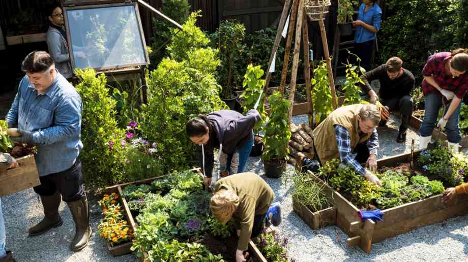 Transformation of 21 social prescribing sites