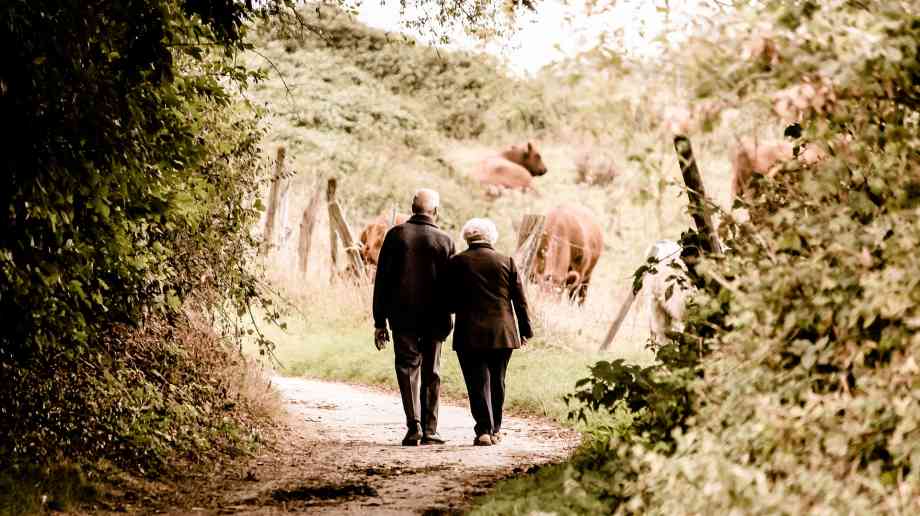 Somerset scheme saves 7,500 nights in hospital