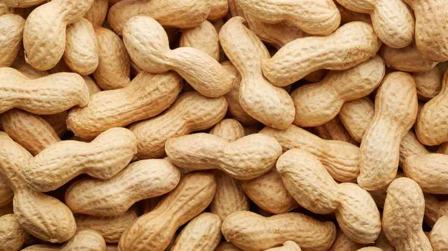 James Paget to provide Peanut Allergy treatment clinic