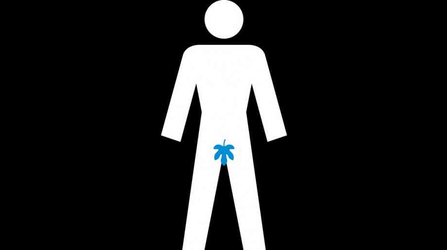 Funding to reduce radiotherapy side-effects for prostate cancer