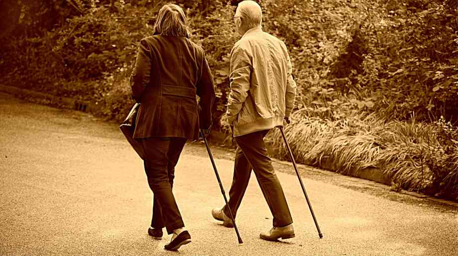 New national academy for social prescribing established