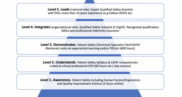 Figure 2.  Taking a Professional Approach to Patient Safety